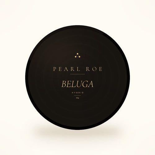 Pearl Roe beluga