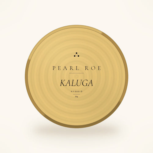 Pearl Roe kaluga